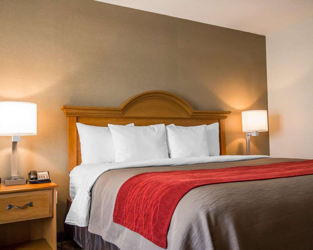 Comfort Inn & Suites Gillette Near Campbell Medical Center 部屋 写真